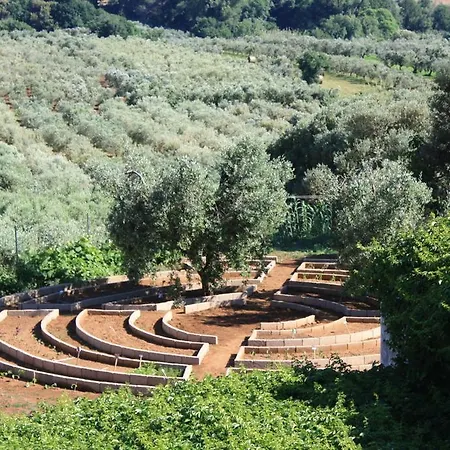 Ss Annunziata